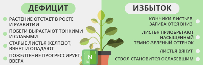 Азотные удобрения: что это такое, виды, правильное применение