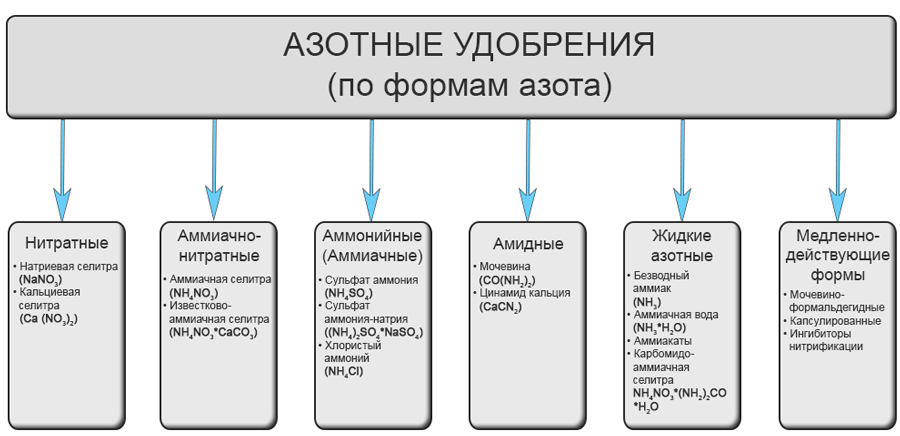 Азотные удобрения: что это такое, виды, правильное применение