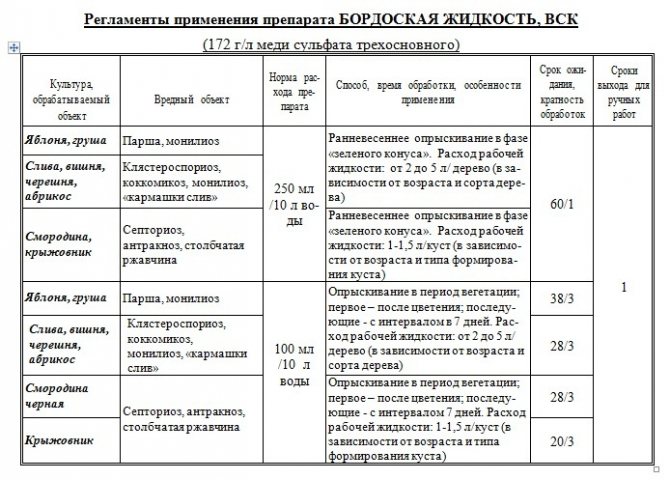 Бордосская жидкость — что это такое, как приготовить раствор, инструкция по применению