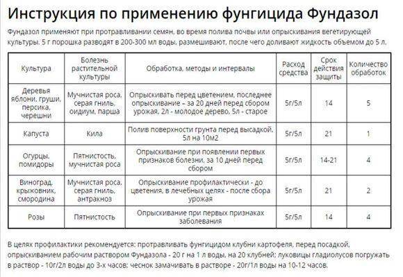 Чем обработать от мучнистой росы – ТОП-20 эффективных средств