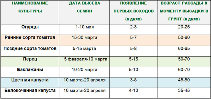 Что посадить на рассаду или в теплицу в марте 2024 года