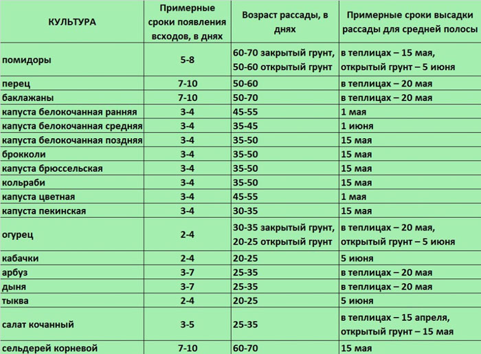 Что посадить на рассаду или в теплицу в марте 2024 года