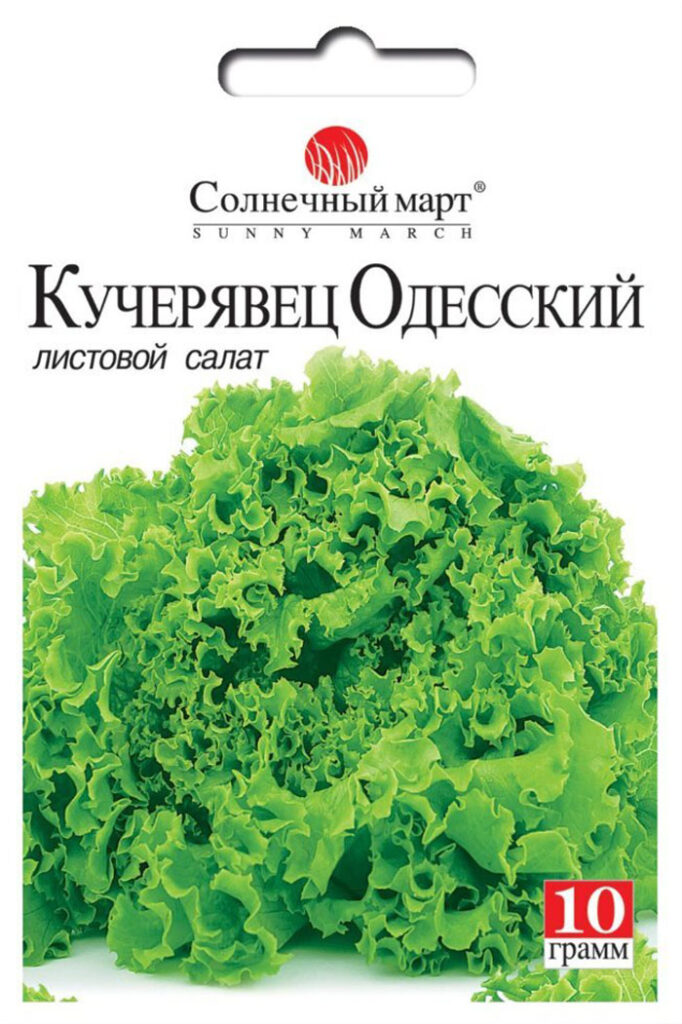 Что посадить под зиму? Какие овощи и цветы сеять осенью?