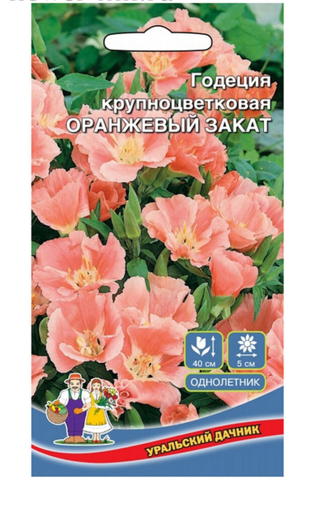 Что посадить под зиму? Какие овощи и цветы сеять осенью?