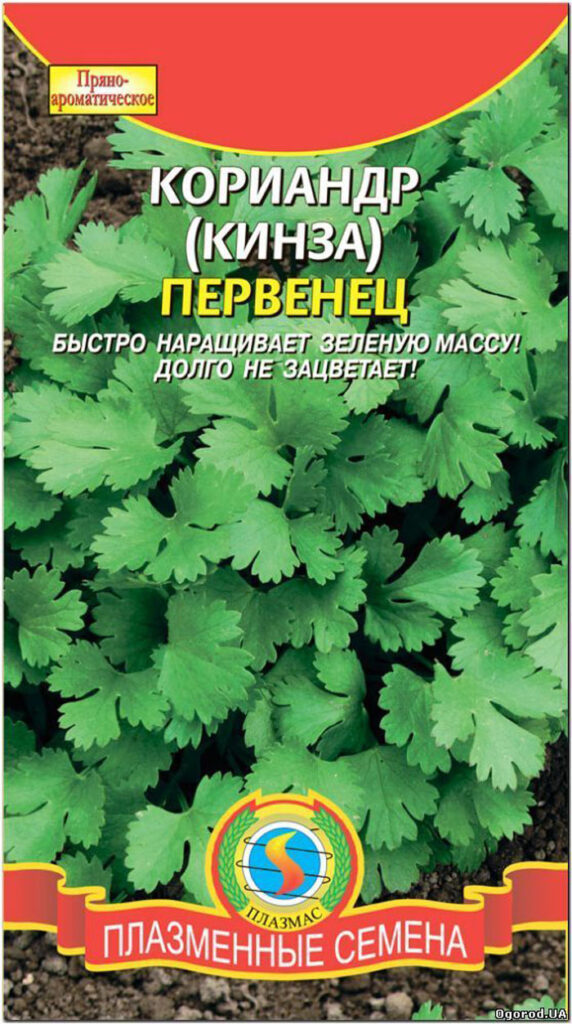 Что посадить под зиму? Какие овощи и цветы сеять осенью?