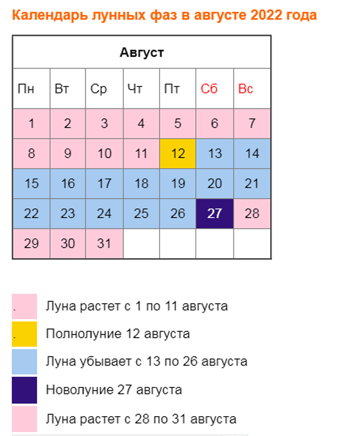 Что посеять или посадить в августе 2024 года