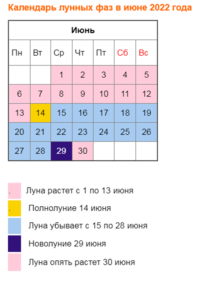 Что посеять или посадить в июне 2024 года в открытый грунт и теплицу