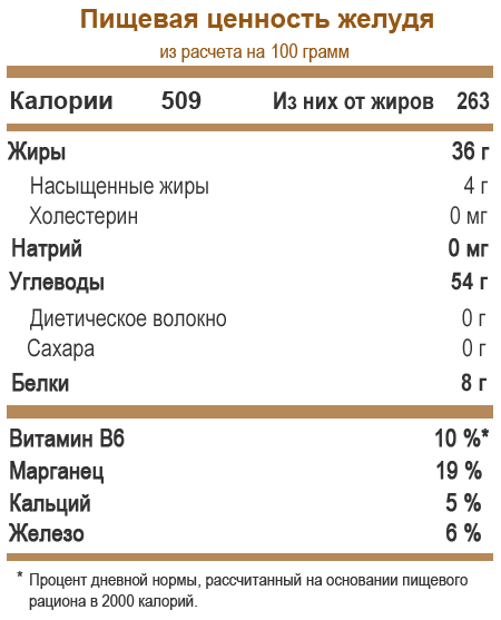 Дуб (50 фото) — как выглядит дерево, сорта, применение. Как вырастить дуб из желудя