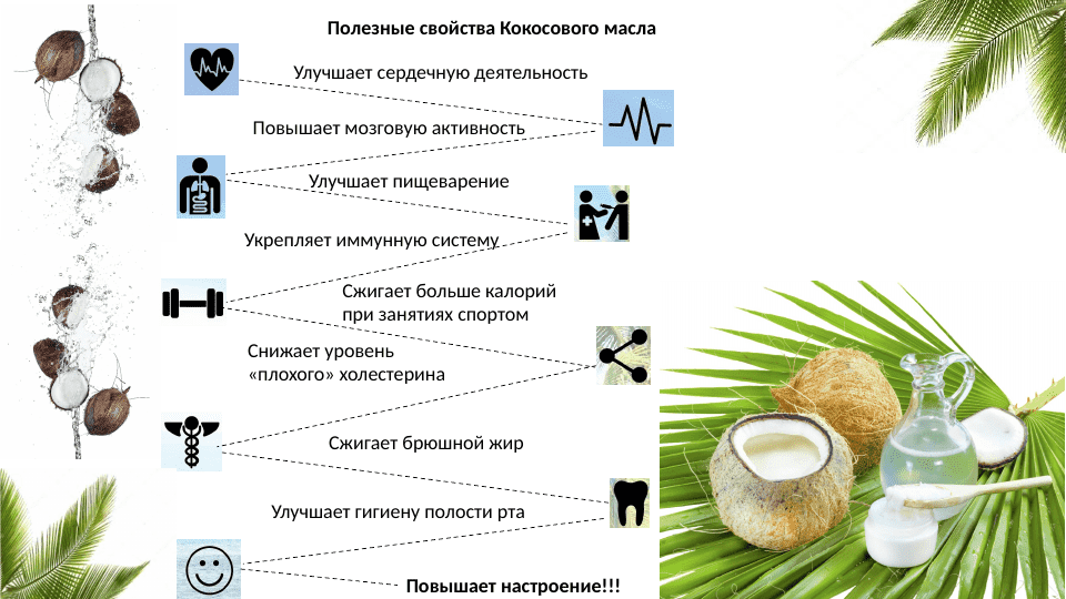 Где и как растут кокосы (40 фото), сорта, вкус, выращивание и применение