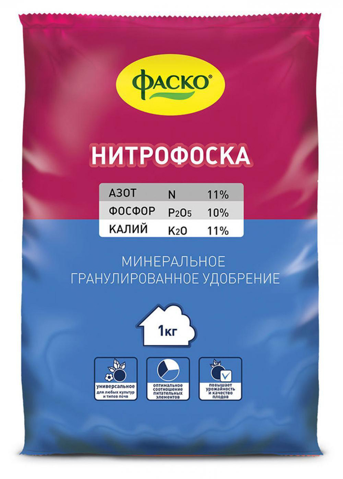 Глициния — описание, выращивание и уход. Советы для пышного цветения