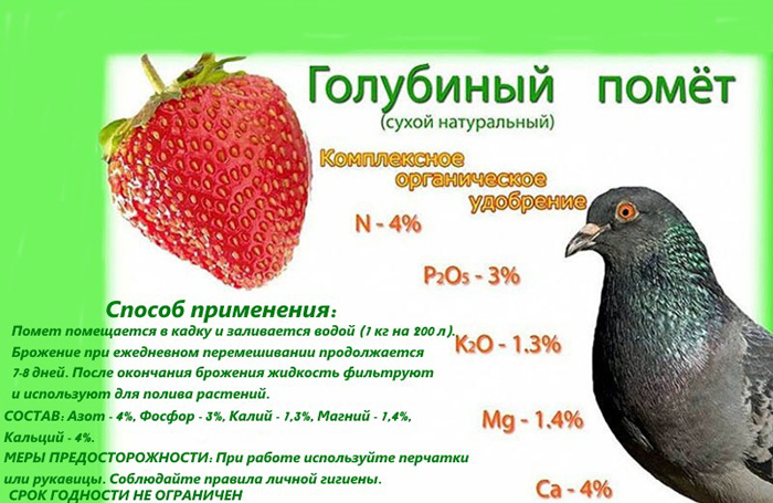 Голубиный помет как удобрение