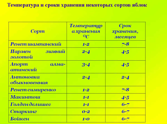 Хранение яблок на зиму — как сохранить яблоки до весны в домашних условиях