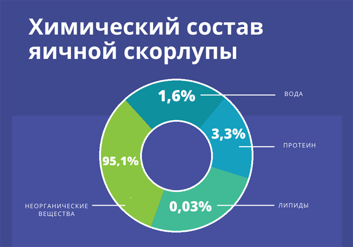 Яичная скорлупа для растений – где и как ее можно применять в огороде