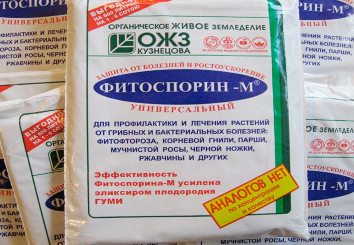 Как и чем раскислить почву на огороде — 6 эффективных методов