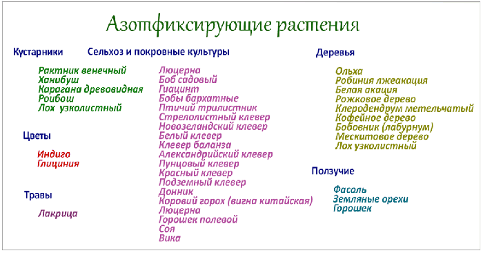 Как избавиться от майского жука или хруща — 12 способов и препаратов для борьбы с жуком и личинками