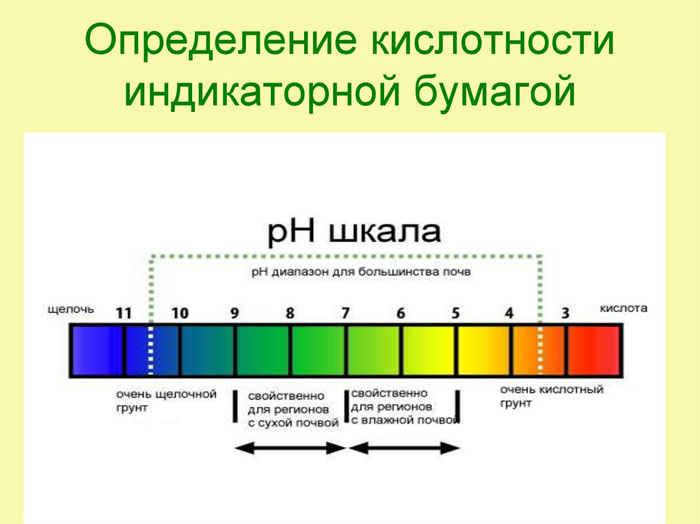 Как подкислить почву – основные способы для голубики, гортензии, хвойных