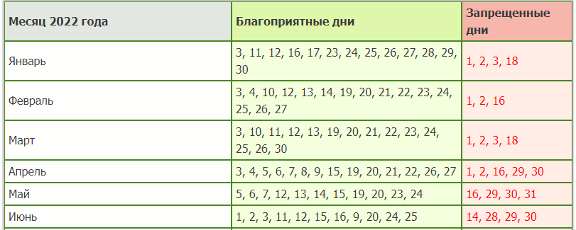 Как сажать клубнику в 2024 году – сроки, технология посадки весной и осенью