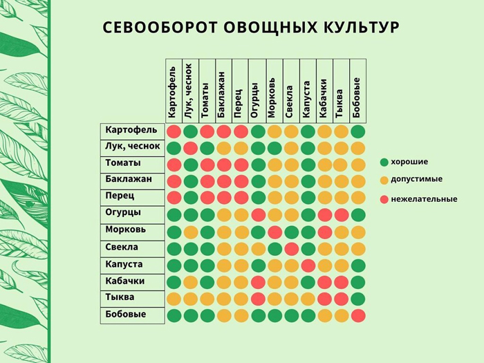 Как вырастить перец из семян от А до Я: лучшие сорта, посев, уход