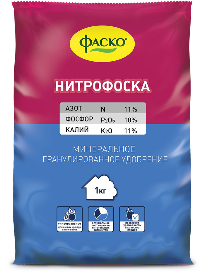 Картофель Ред Скарлет (30 фото) — описание, характеристика сорта, вкусовые качества и отзывы