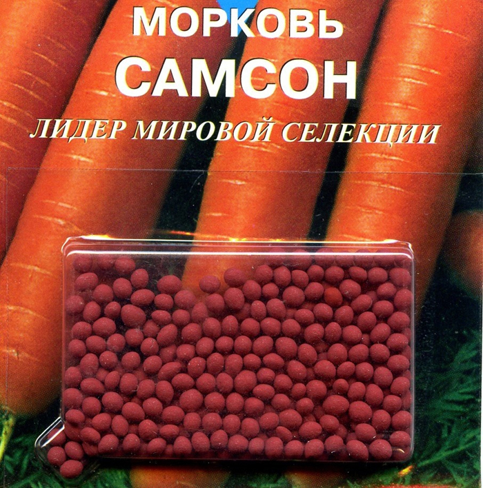 Когда и как сажать морковь в 2024 году – сроки и технология посадки