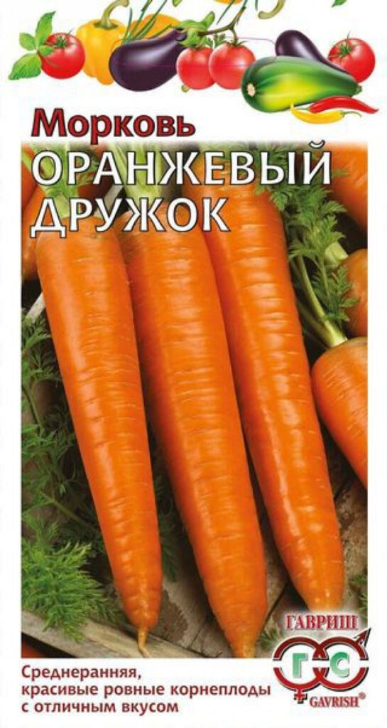 Когда и как сажать морковь в 2024 году – сроки и технология посадки