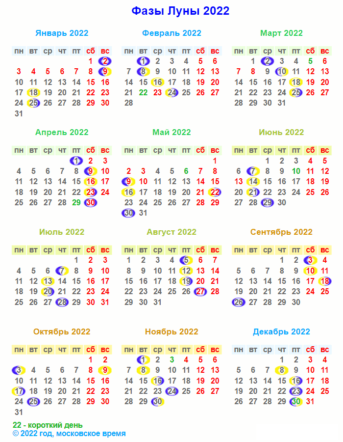 Когда и как сажать нарциссы в 2024 году