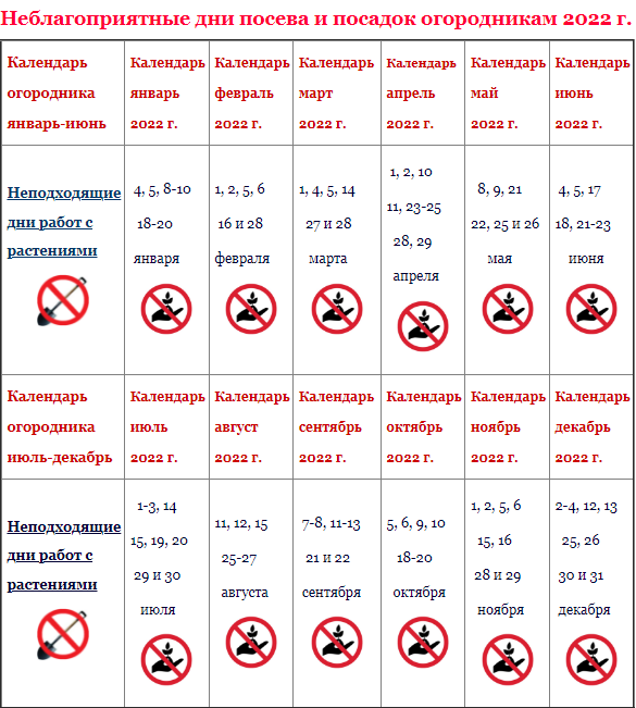 Когда сажать картофель в Сибири в 2024 году