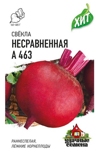 Когда сажать свеклу в Сибири в 2024 году