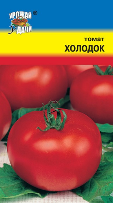 Когда сажать томаты в Подмосковье в 2024 году