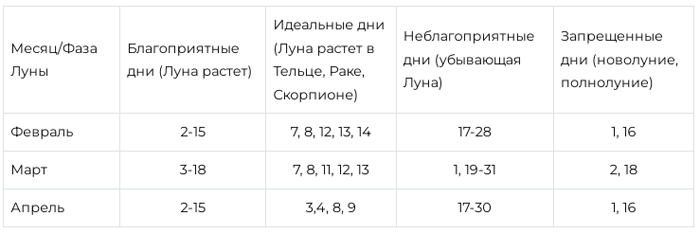 Когда сеять лук Эксибишен и как правильно это делать для богатого урожая