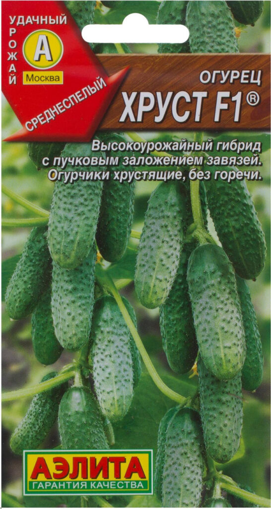 Когда сеять огурцы в 2024 году на рассаду? Сроки и технология посадки