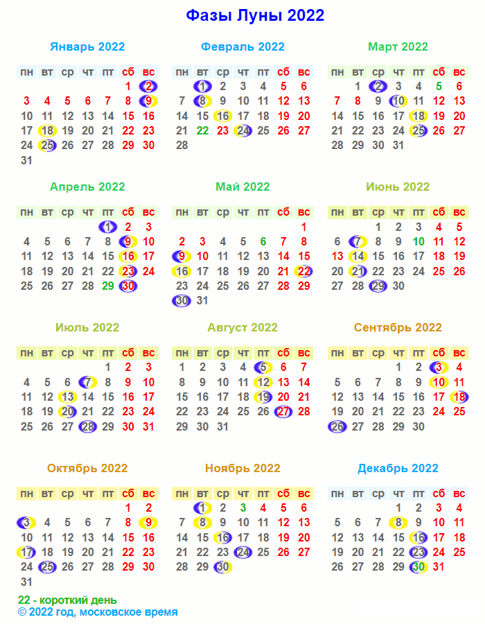 Когда сеять огурцы в 2024 году на рассаду? Сроки и технология посадки