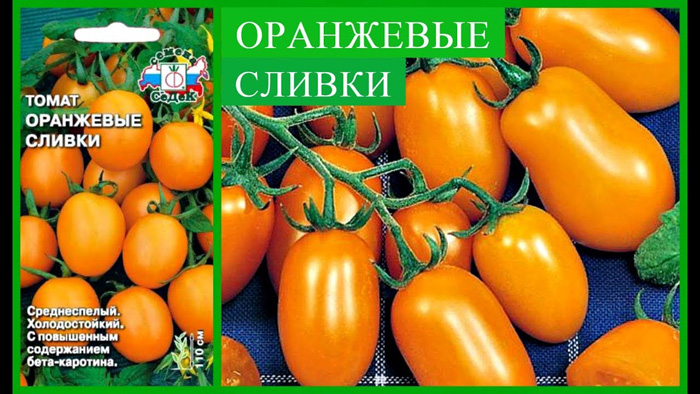 Лучшие сорта томатов для открытого грунта 2024 года