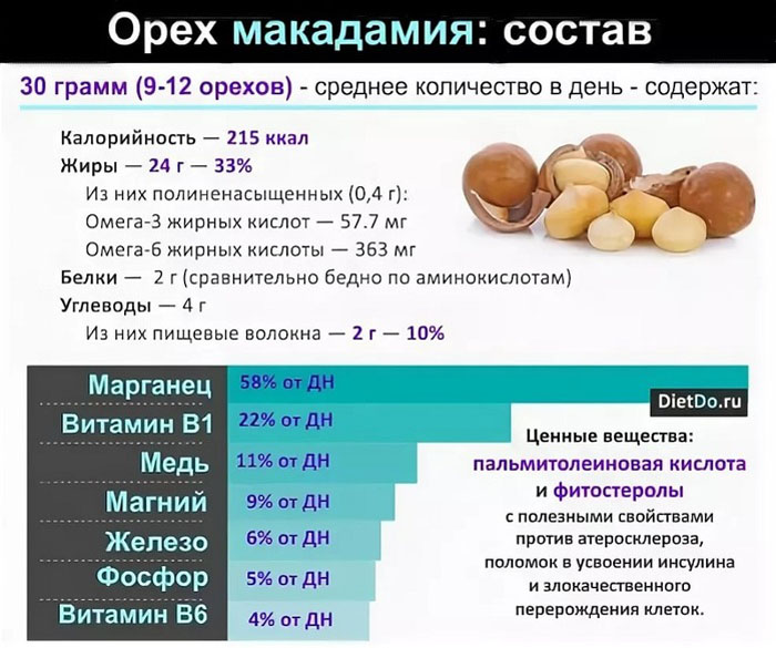 Орех макадамия – как и где растет, польза для организма