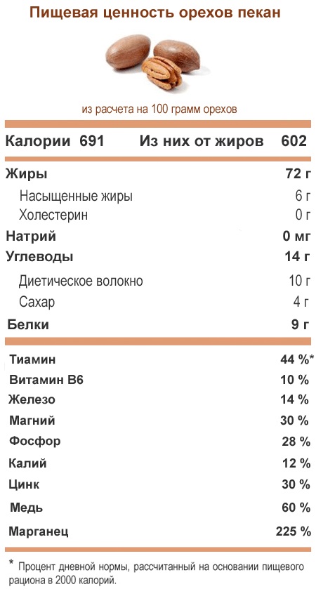 Орех Пекан (40 фото) — описание, сорта, как и где вырастить в России