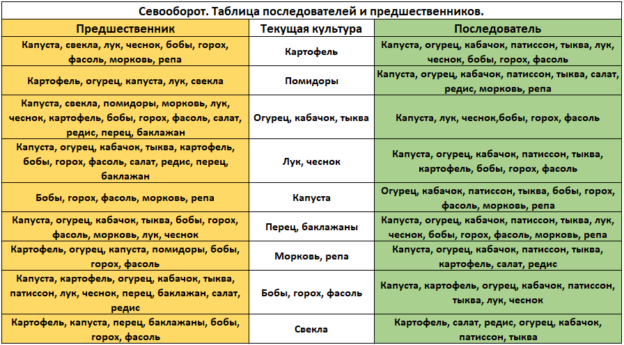 Паутинный клещ на огурцах в теплице