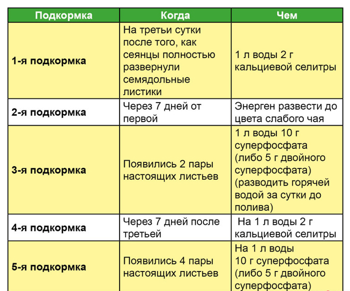 Почему вытягивается рассада – 5 причин и их решение