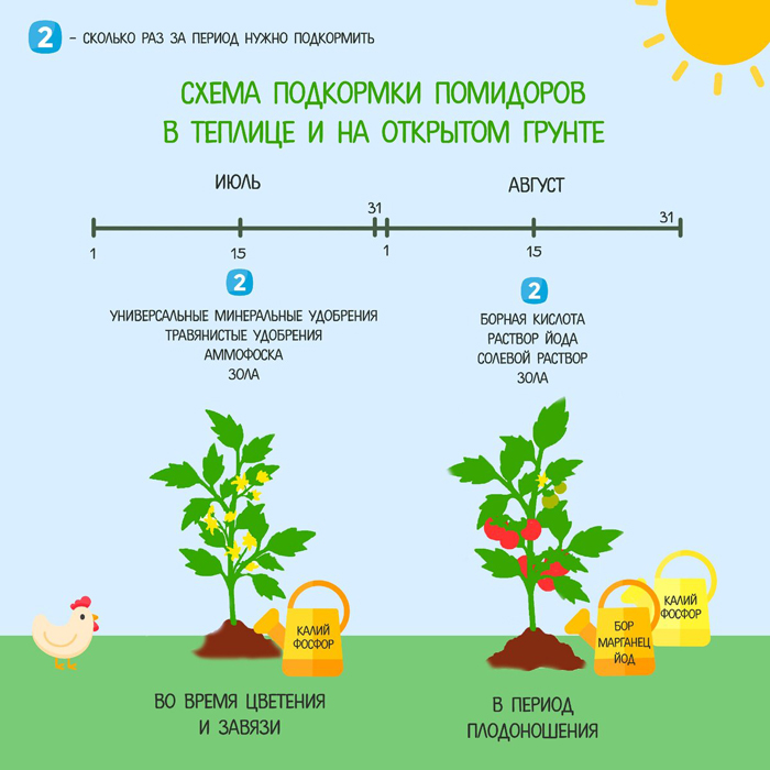 Подкормка томатов – чем и когда подкармливать помидоры: схемы и дозировки