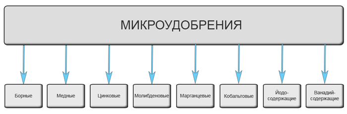 Подкормка томатов – чем и когда подкармливать помидоры: схемы и дозировки