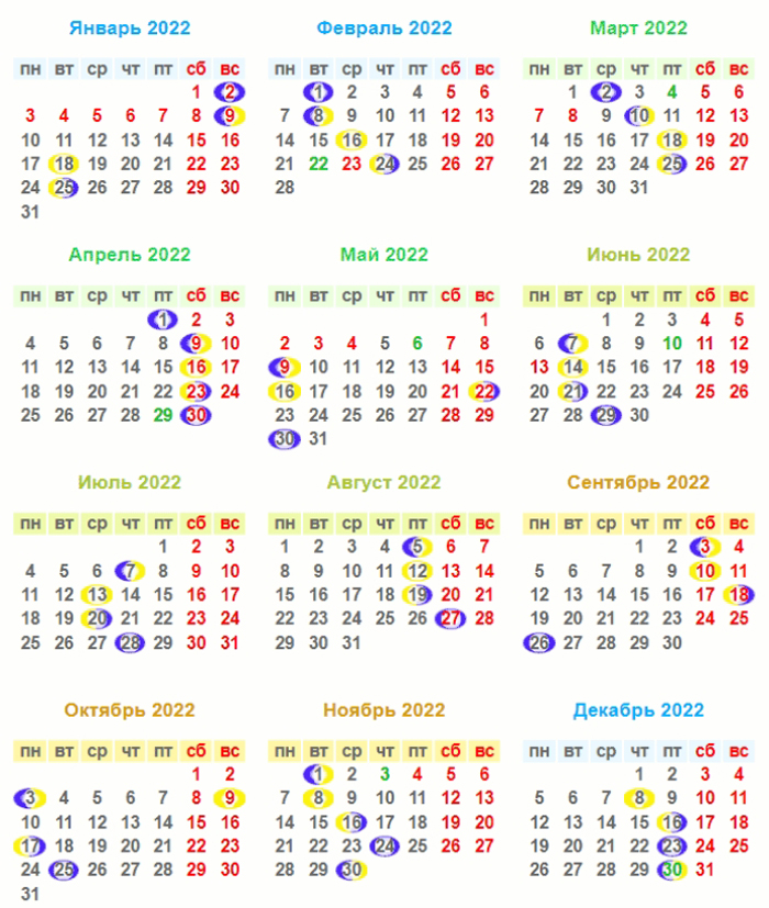 Посадка чеснока весной 2024 года в открытый грунт — когда и как сажать для богатого урожая