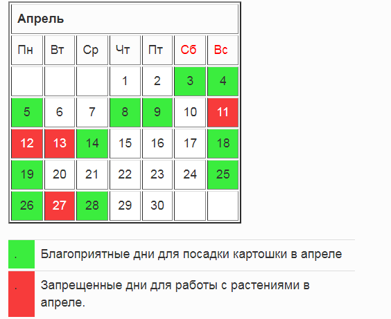 Посадка картофеля в открытый грунт в 2024 году — когда и как правильно сажать