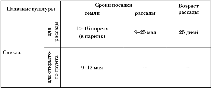 Посадка свеклы в открытый грунт семенами и рассадой: правила для богатого урожая