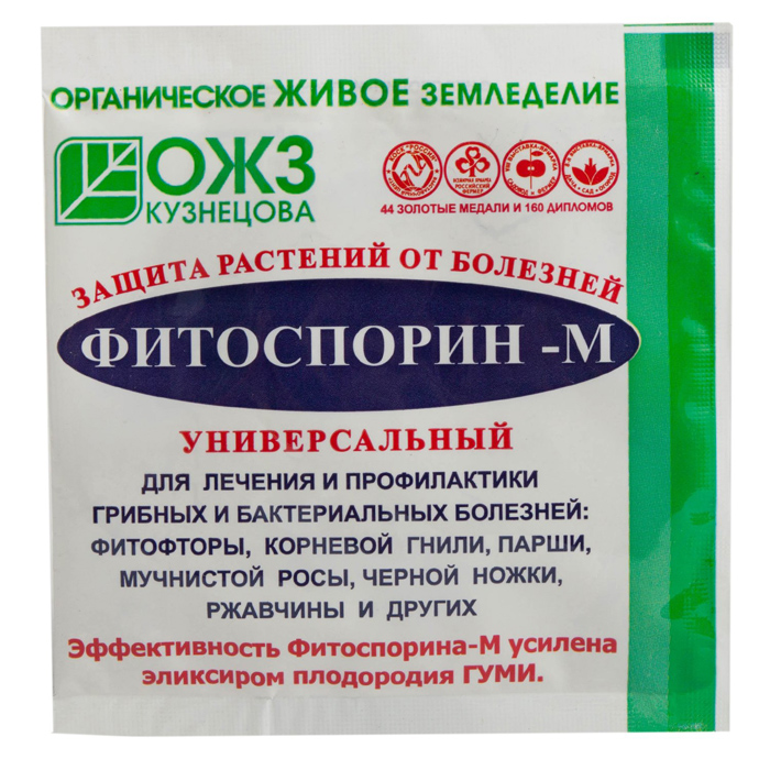 Рассада огурцов — все от А до Я как легко вырастить крепкую рассаду огурцов