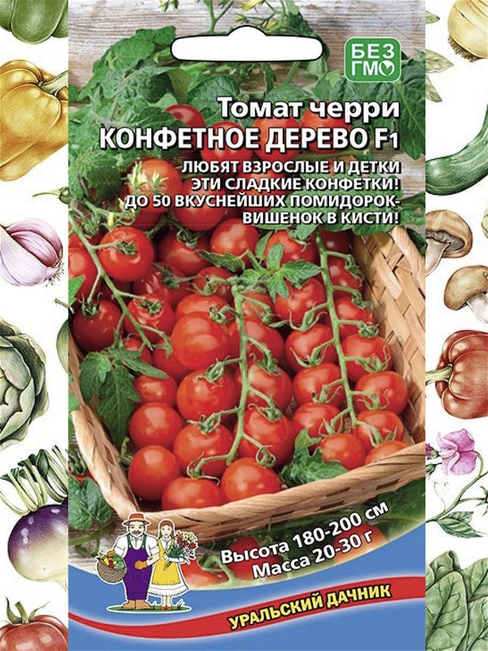 Рассада помидор – все от А до Я как легко вырастить крепкую рассаду томатов