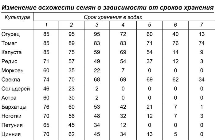 Рассада помидор – все от А до Я как легко вырастить крепкую рассаду томатов