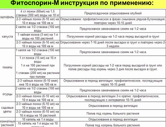 Рассада помидор – все от А до Я как легко вырастить крепкую рассаду томатов