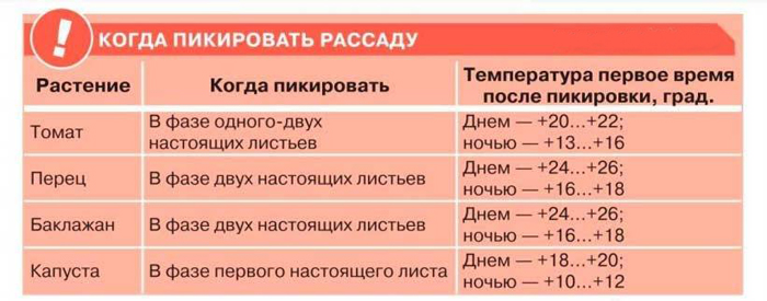 Рассада помидор – все от А до Я как легко вырастить крепкую рассаду томатов