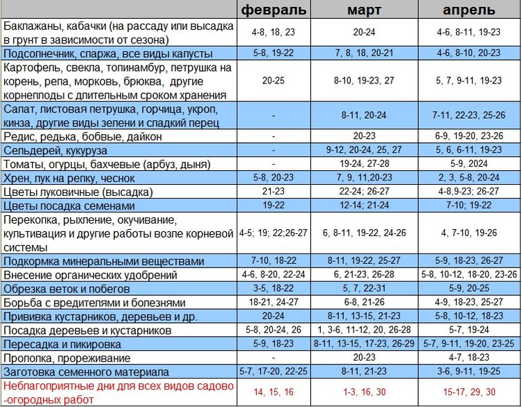 Рассада помидор – все от А до Я как легко вырастить крепкую рассаду томатов