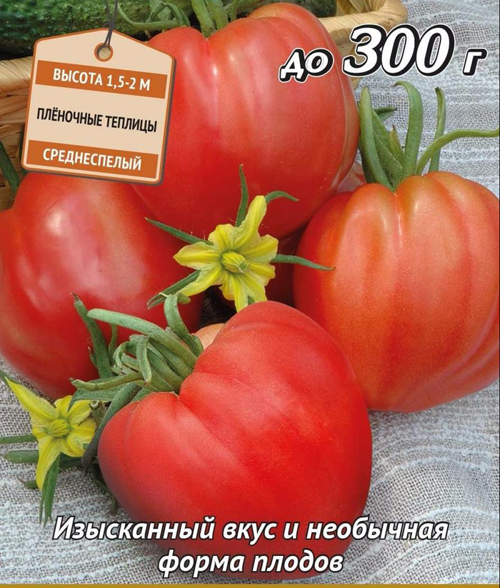 Сорта розовых томатов (90 фото) — самый полный каталог 2024 года