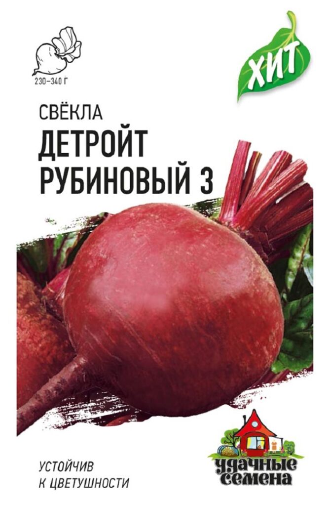 Сорта свеклы – 60 лучших сортов 2024 года